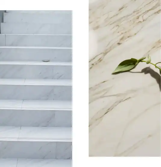 White marble stairs are shown on the left, while on the right, a green plant stem with leaves rests on a polished marble surface. Both surfaces feature subtle gray veining—an elegant result of expert marble restoration in Nassau & Suffolk County.